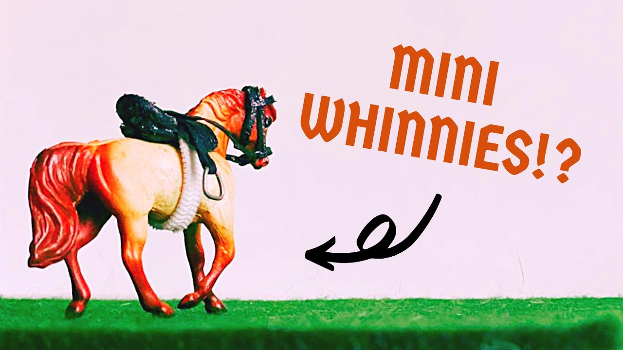 Tack and riding arena for Mini Whinnies