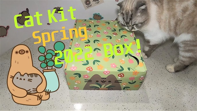 Pusheen Box  The Internet's Favorite Cat!