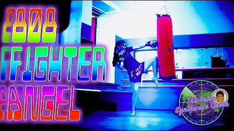 808 Fighter Angel  - The Retro Synthwave Opera