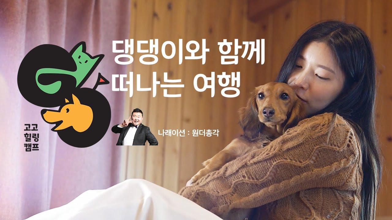 반려동물과 함께 여행을 하고 싶다면 고고힐링캠프로 오세요!
