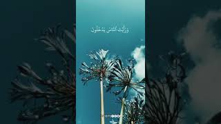 سورة النصر ( اذا جاء نصر الله والفتح ) الشيخ #احمد_العجمي