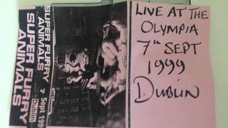 Super Furry Animals &#39;Chewing Chewing Gum&#39; - Live at Dublin Olympia 1999