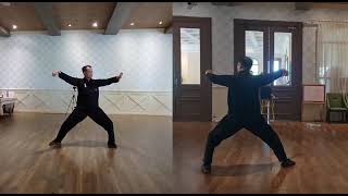 Taiji Quan - Tian Xia Tjq 9 天下太极拳九式