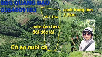 bđs đăk glong, đất vườn quảng khê