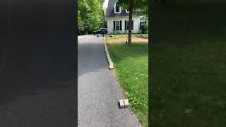 Relining the driveway with and building a walkway