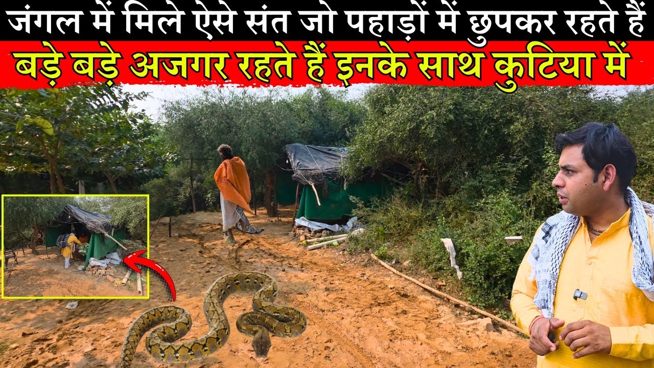 अदभुत:-संत के भजन में न हो बाधा असंख्य अजगर देते हैं पहरा.. @BrajVihar #brajkesant #santseva 