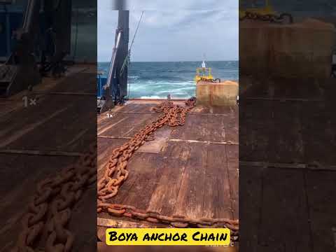 Anchor chain of Buoya 👍 | Anchor Drop😱 #ytshorts #shortsfeed #shortsviral #shorts #shortsvideo