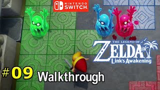 The Legend of Zelda: Links Awakening #09: Color Dungeon