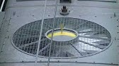 和歌山県御坊市 谷口釣船 旋回窓 Youtube