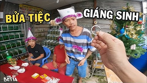 Bửa Tiệc Giáng Sinh có một không hai của ông chủ trại cá Betta và cái kết