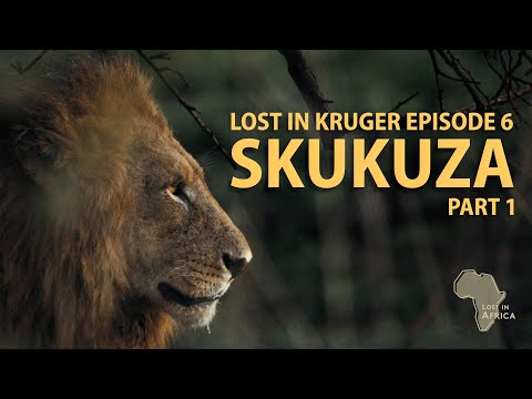 SKUKUZA - The best GAME VIEWING in South Africa - Lost in Kruger Episode 6