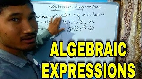 CLASS 7 MATHEMATICS CHAPTER 12 ALGEBRAIC EXPRESSIONS