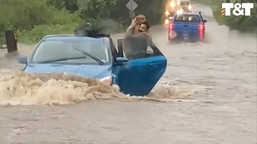Couple Drive Into Flood To Rescue Trapped Dog And Man