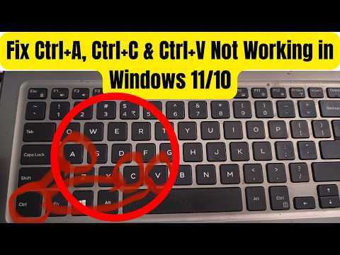 Fix Ctrl+A, Ctrl+C & Ctrl+V Not Working in Windows 11/10 | Fix Keyboard Issue in Windows
