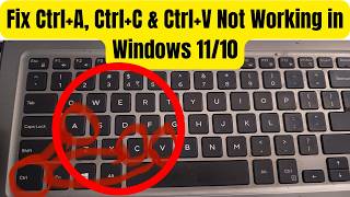 Fix Ctrl+A, Ctrl+C & Ctrl+V Not Working in Windows 11/10 | Fix Keyboard Issue in Windows