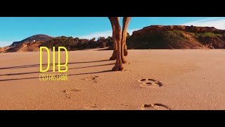 DIB - C'est Pas Grave