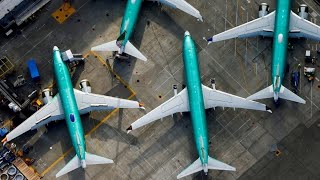 飛行機に乗ると温暖化が……自分の「炭素の足跡」を減らすには