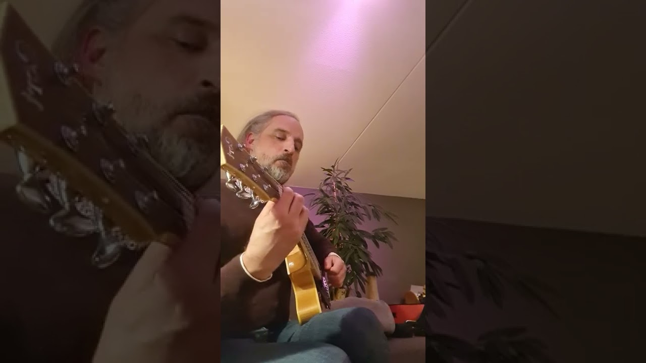 Bluesette backings on a Cort Joe Beck Alto guitar (Eb)