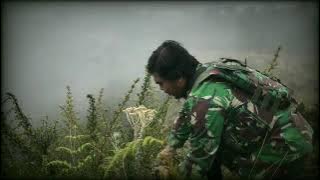 TENTARA JUGA PUNYA CINTA@SENIMAN PERTEMPURAN