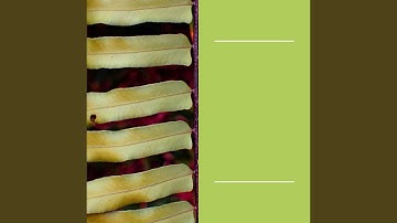 Pulsating Moods for Cozy Reading