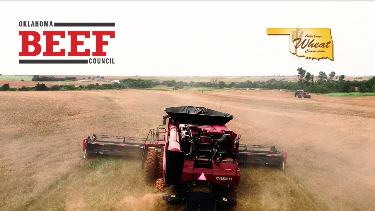 Oklahoma Beef Council