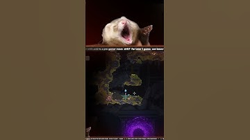 Streamer brutaly kills dog :( | #nejirussianov on #Twitch #noita