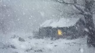 Winter Storm in Cabin House | Blizzard Sounds for Sleeping | Wind Sound For Reduce Stress, Study