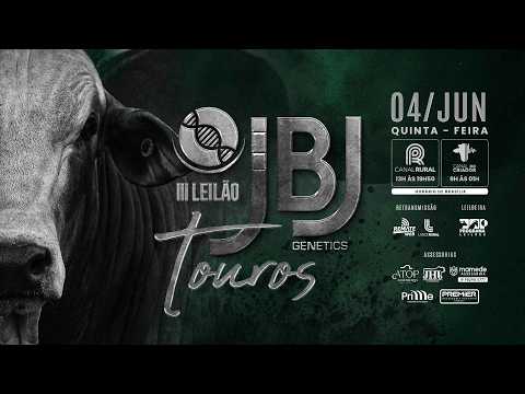 LOTE 81   JBJ 3326