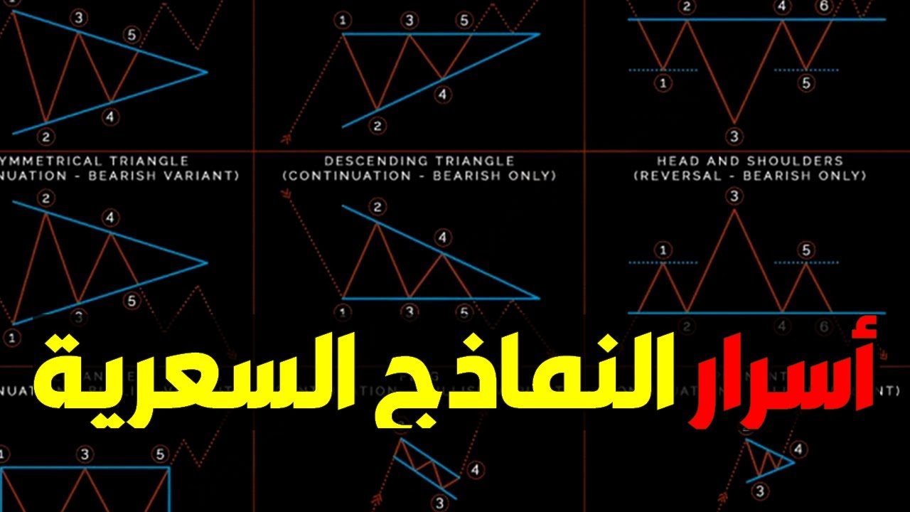 محاضرة حول النماذج السعرية و التحليل الفني (نقاط الدخول و الخروج) + البرايس اكشن (السلوك السعري)