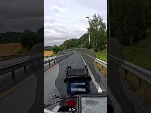 Trondheim: campi stupendi… ma zero mucche pelose! ???? #shorts