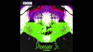 Dinosaur Jr. - Does It Float - BBC In Session