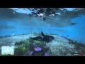 Gta V orca (killer whale) location