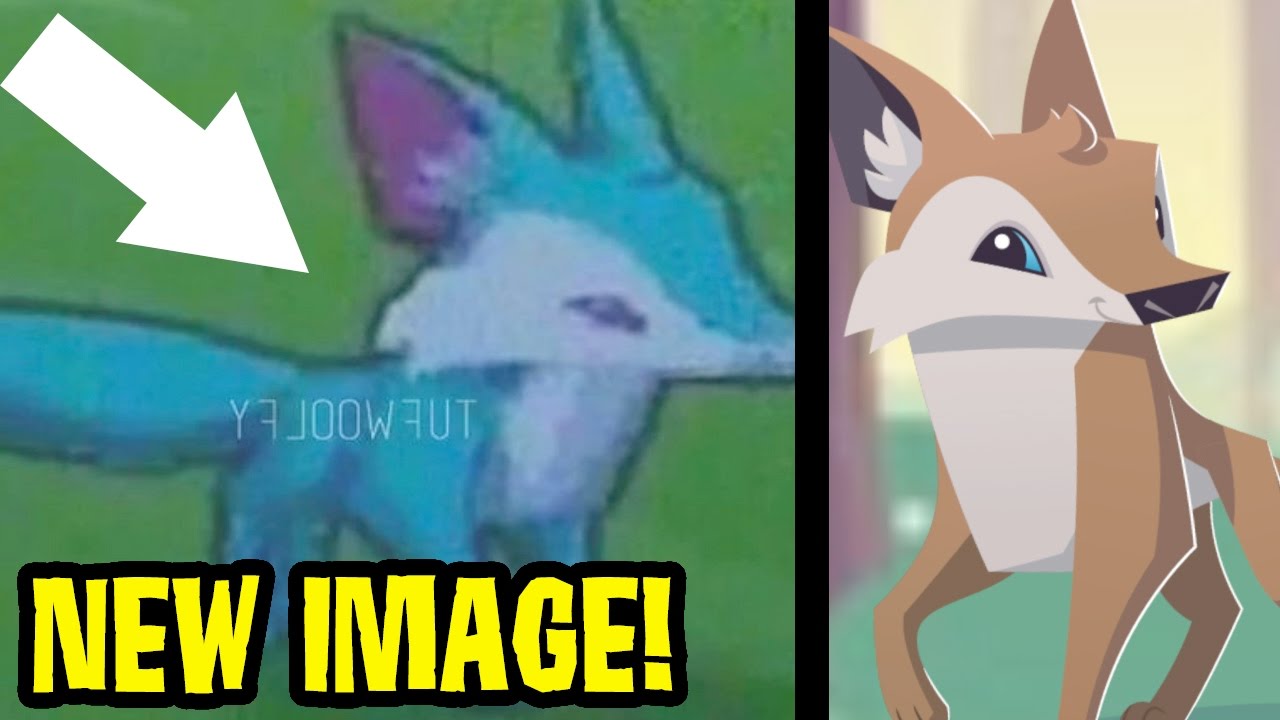 Real Picture of The New Coyote (Animal Jam) - YouTube