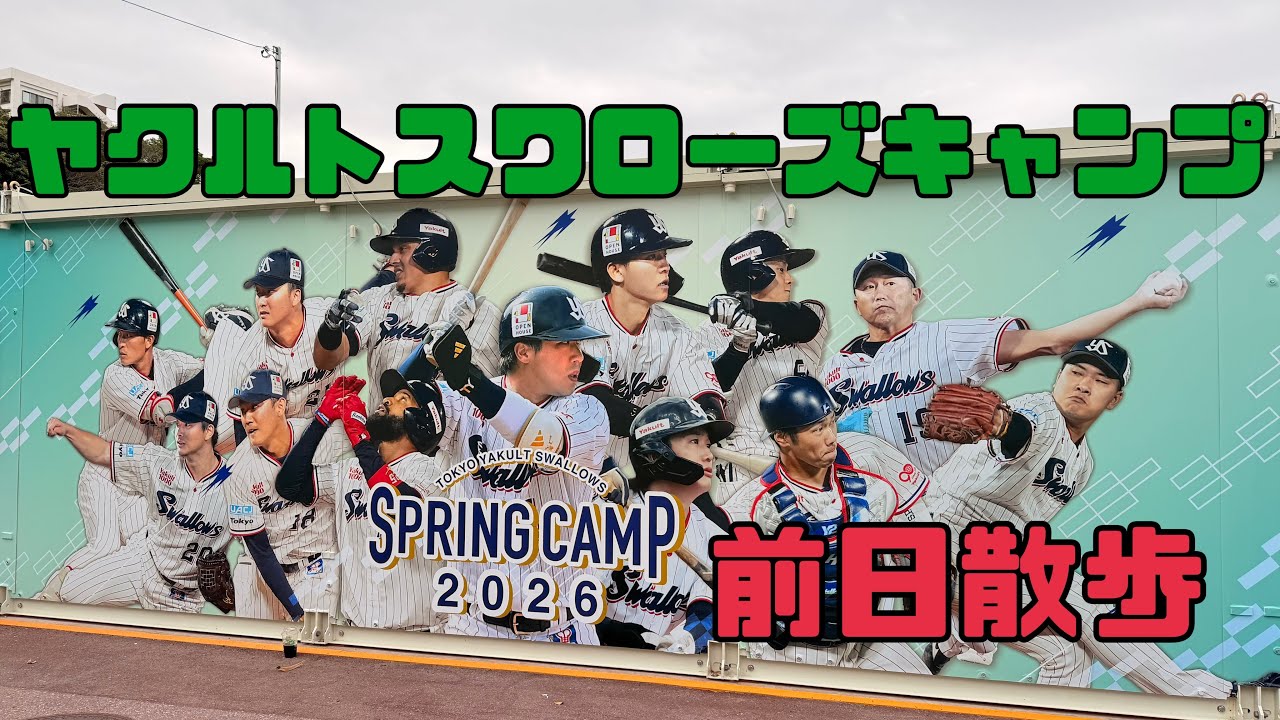 Прогулка Ю-чан за день до начала тренировочного сбора команды Yakult Swallows 2026 (31 января 202...