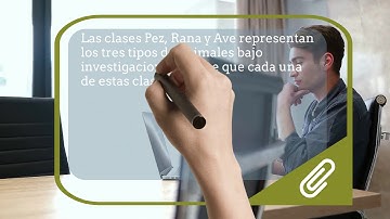 Programación Orientada a Objetos, Polimorfismo