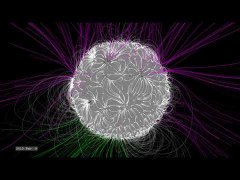 The Dynamic Solar Magnetic Field