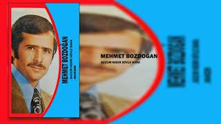 Mehmet Bozdoğan / Suçum Nedir Söyle Bana Resimi