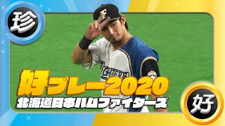 北海道日本ハムファイターズ好プレー集 2020