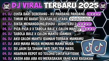 DJ TIKTOK TERBARU 2025🎵DJ CINTA DARI SEBERANG - KU PANDANG 2🎵DJ AISHITERU 2 - SIKSA MENANGGUNG RINDU
