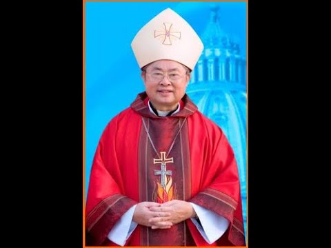 Video Bài giảng THÁNH ĐAMINH SAVIÔ của Đức Cha Giuse Hoàng... - youtube