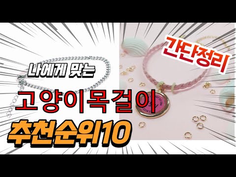광고 2022년 가장인기있는 고양이목걸이 추천 판매순위 TOP10 가성비 평점 후기 비교