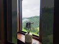 Ранкова кава в Славсько славське карпати Coffee Beautiful Coffeemaking відпочинок Beautiful
