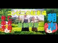 【秋田県秋田市仁井田】取れたての野菜求め農家の朝市にぎわっているよ!
