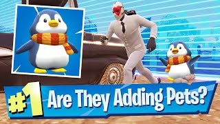 Pets, Music Packs + Weapon Skins Inbound? - Fortnite Battle Royale