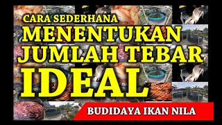 Cara Menghitung Jumlah Tebar Yang Ideal Pada Kolam Ikan Nila - Versi Pemula & Sederhana