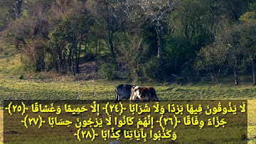 سورة النبأ || الشيخ عبدالودود حنيف || Kanaalka Quraanka Alle
