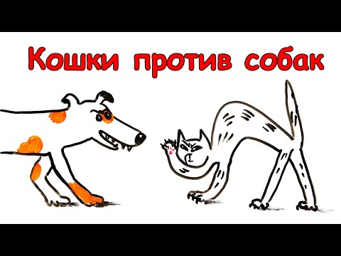 Почему кошки не любят собак мультфильм