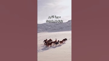 سورة الفجر Surah Al-Fajr قرٱن | #اكسبلور #المصحف #الشيخ