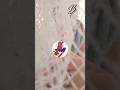 Spiderman Dance |• #tiktok #tendencia #shorts #beluinvivo