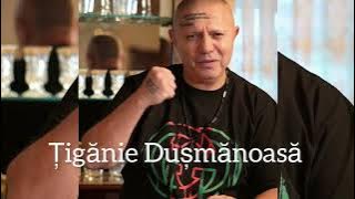 Nicolae Guță - țigănie dușmănoasă refăcută în 2025